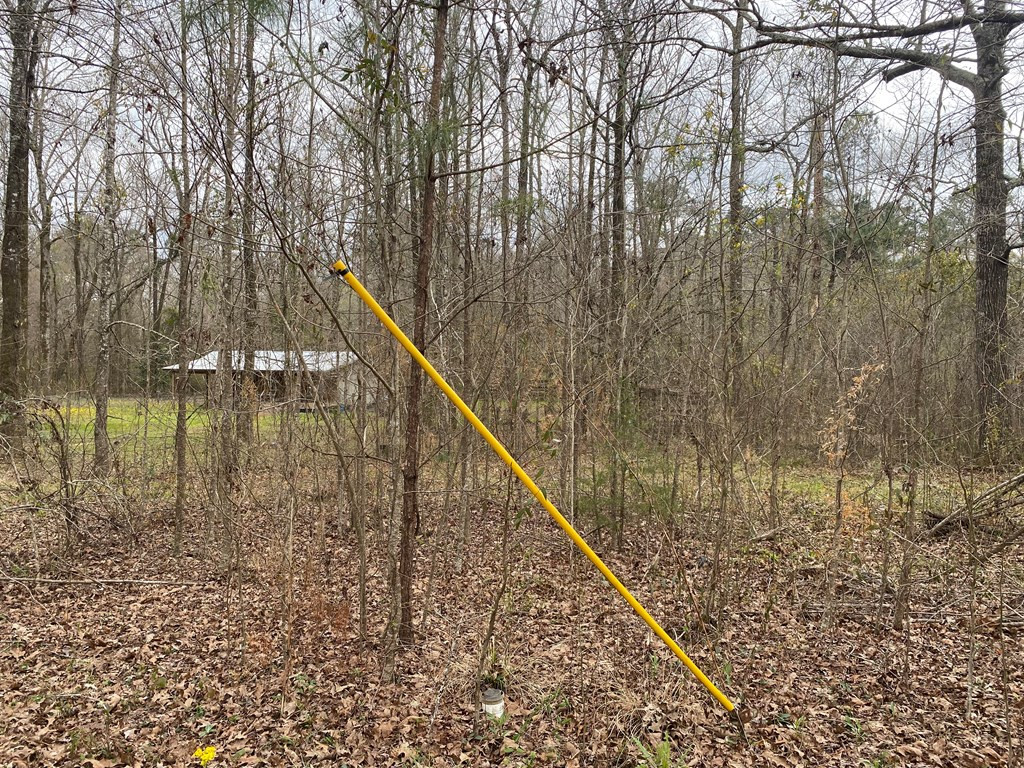 Tbd Garden City Road Roxie, MS 39661 - Photo 6 of 11 Photo 6
