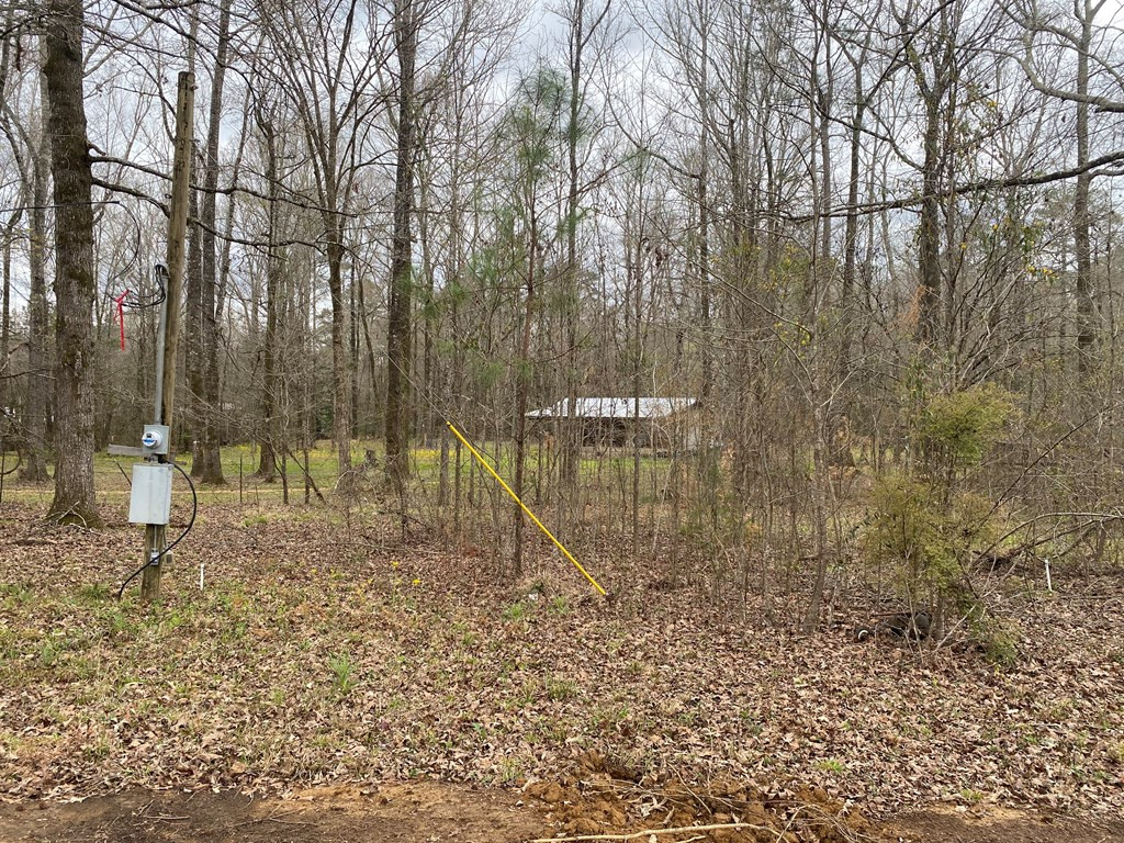 Tbd Garden City Road Roxie, MS 39661 - Photo 7 of 11 Photo 7