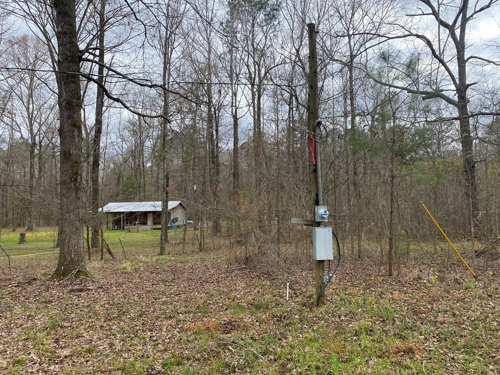 Tbd Garden City Road Roxie, MS 39661 - Photo 8 of 11 Photo 8