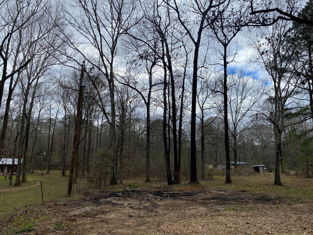 Tbd Garden City Road Roxie, MS 39661 - Photo 10 of 11 Photo 10