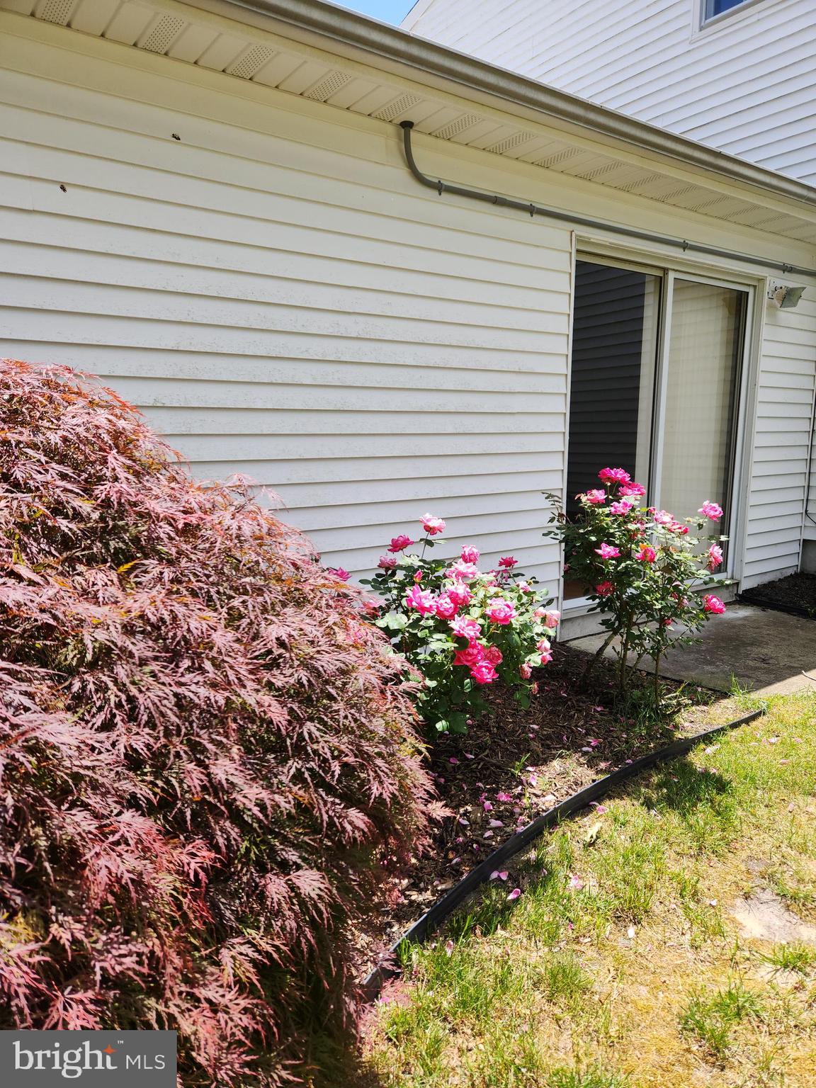 281 Center Street Little Egg Harbor, NJ 08087 - Photo 39 of 40 Backyard Patio - Fantastic Outdoor Space