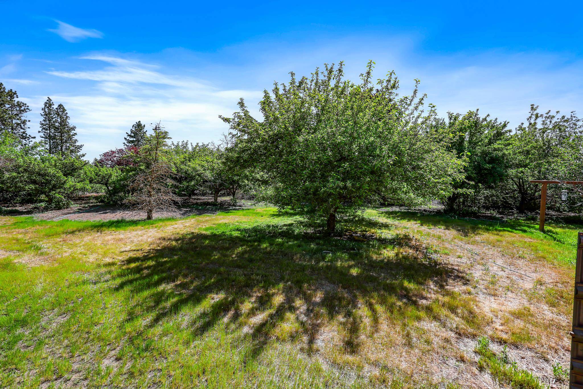 7114 South Plymouth Road Spokane, WA 99224 - Photo 20 of 25