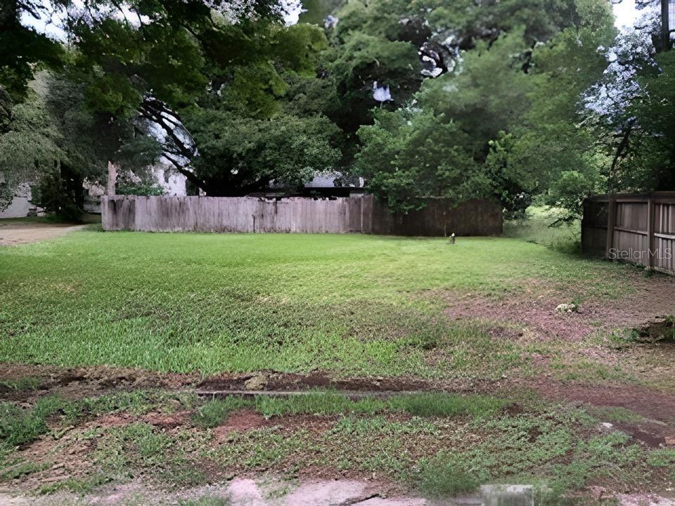 a view of a backyard with large trees