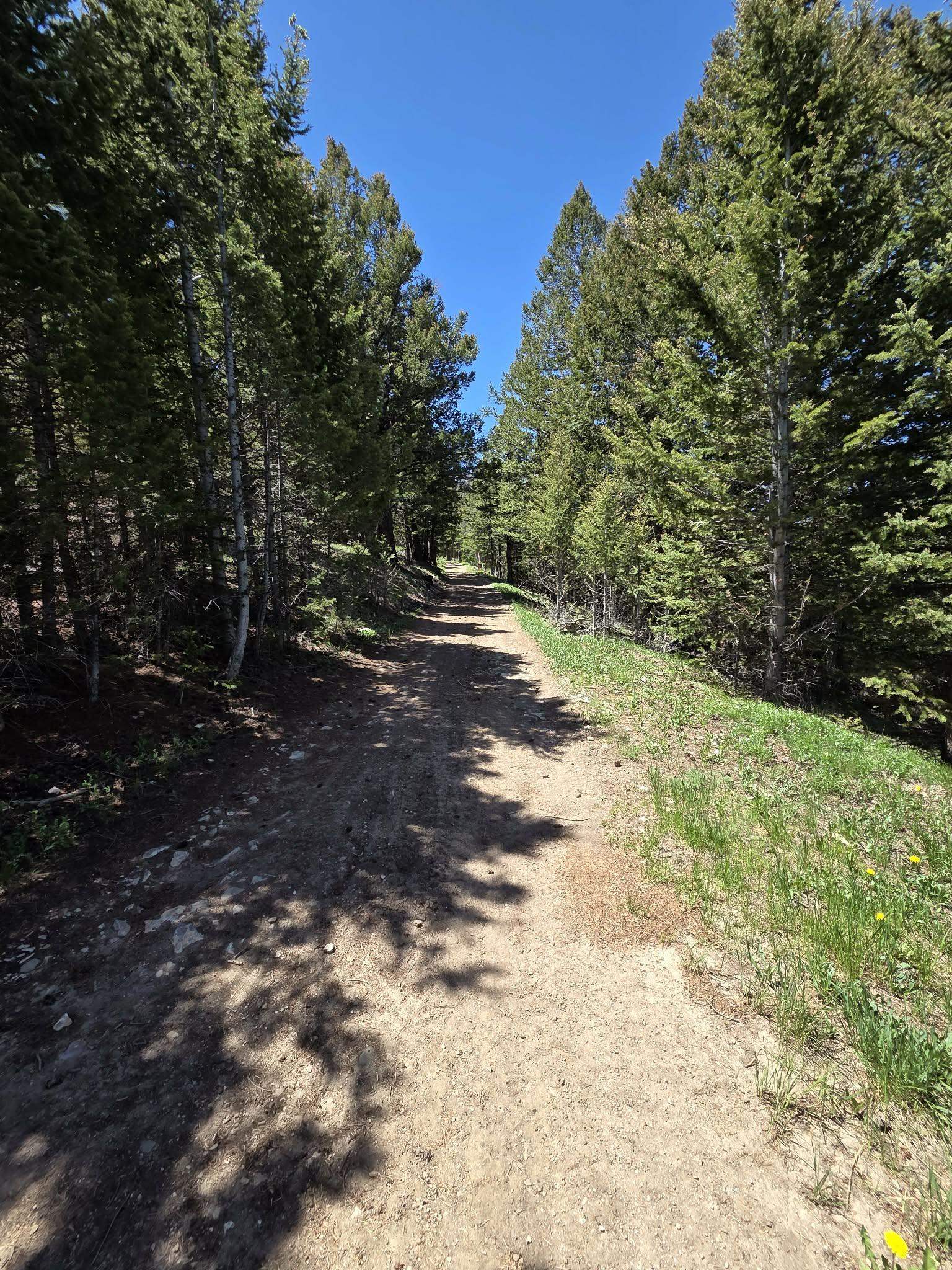 3 Starry Way Dubois, WY 82513 - Photo 14 of 30