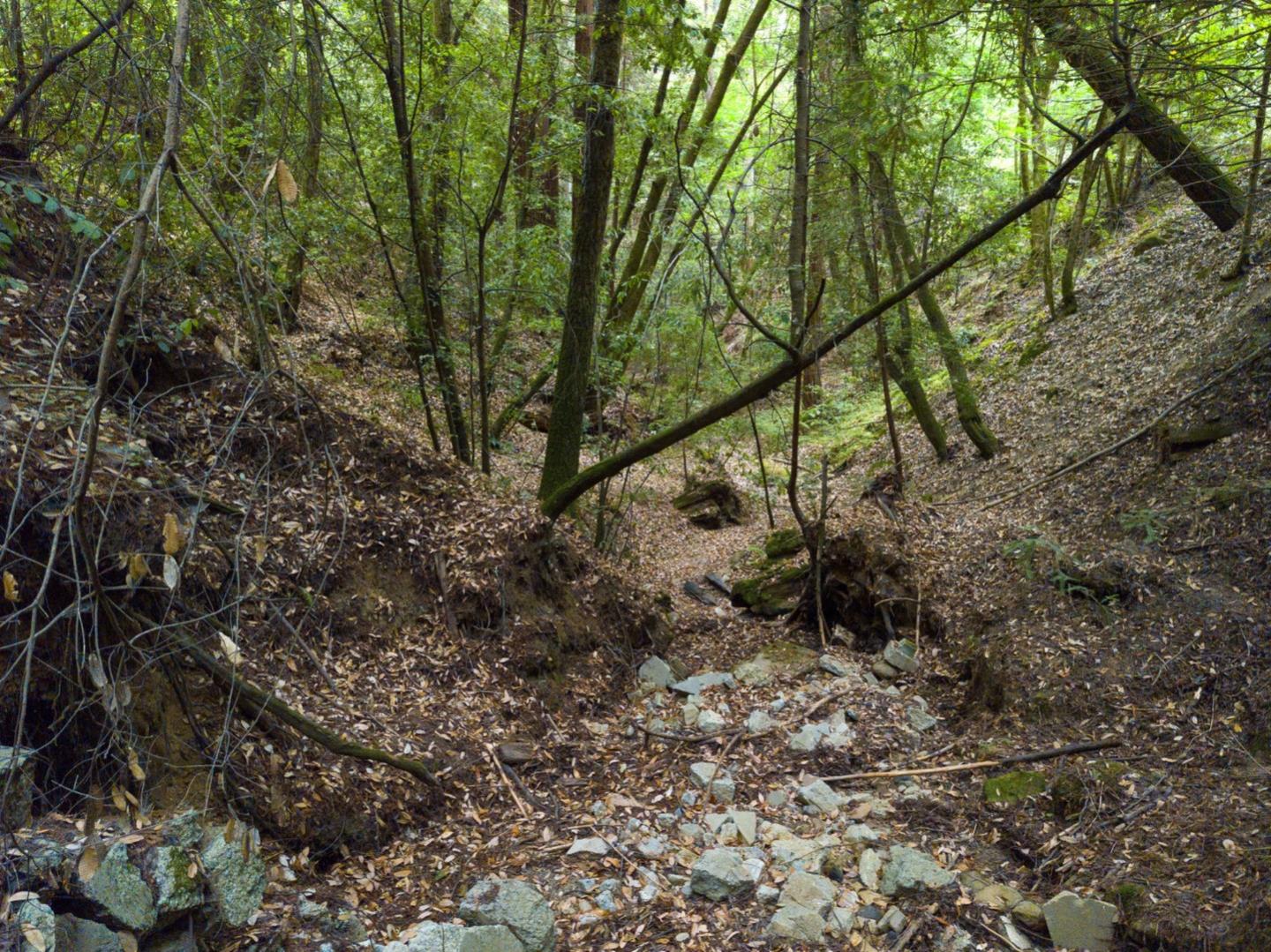 2060 Sparrow Valley Road Aptos, CA 95003 - Photo 44 of 45 a view of mountain view with lots of trees