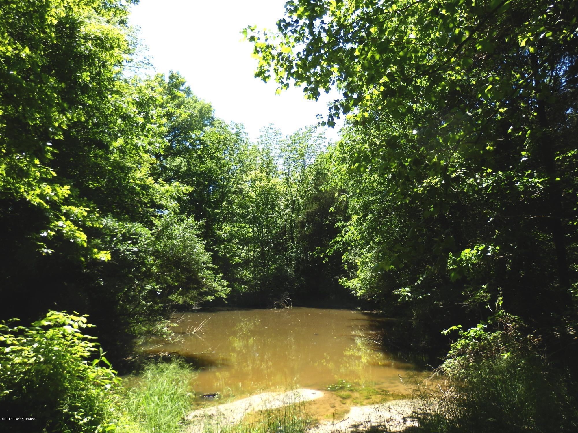 1776 Wolf-Pen Road Pendleton, KY 40055 - Photo 28 of 33 1776 Wolfpen_40_Pond