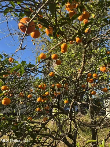 $238,000 | 3902 Pascagoula Street, Pascagoula, MS 39567