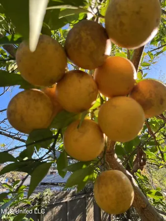 $199,900 | 3902 Pascagoula Street, Pascagoula, MS 39567