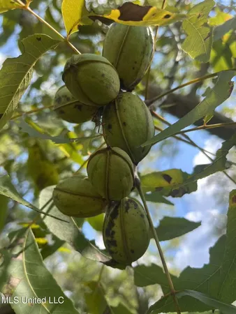 $199,900 | 3902 Pascagoula Street, Pascagoula, MS 39567