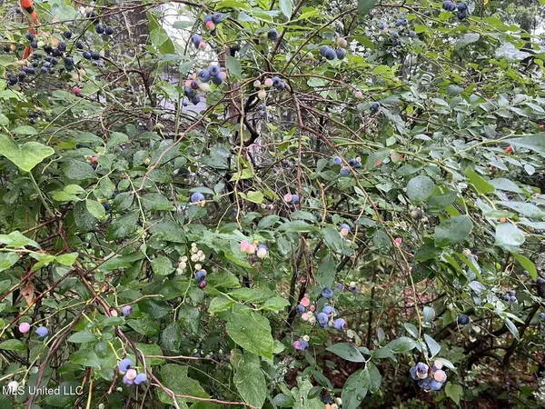 $199,900 | 3902 Pascagoula Street, Pascagoula, MS 39567