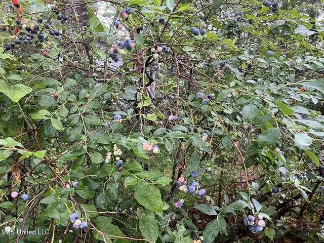 $238,000 | 3902 Pascagoula Street, Pascagoula, MS 39567