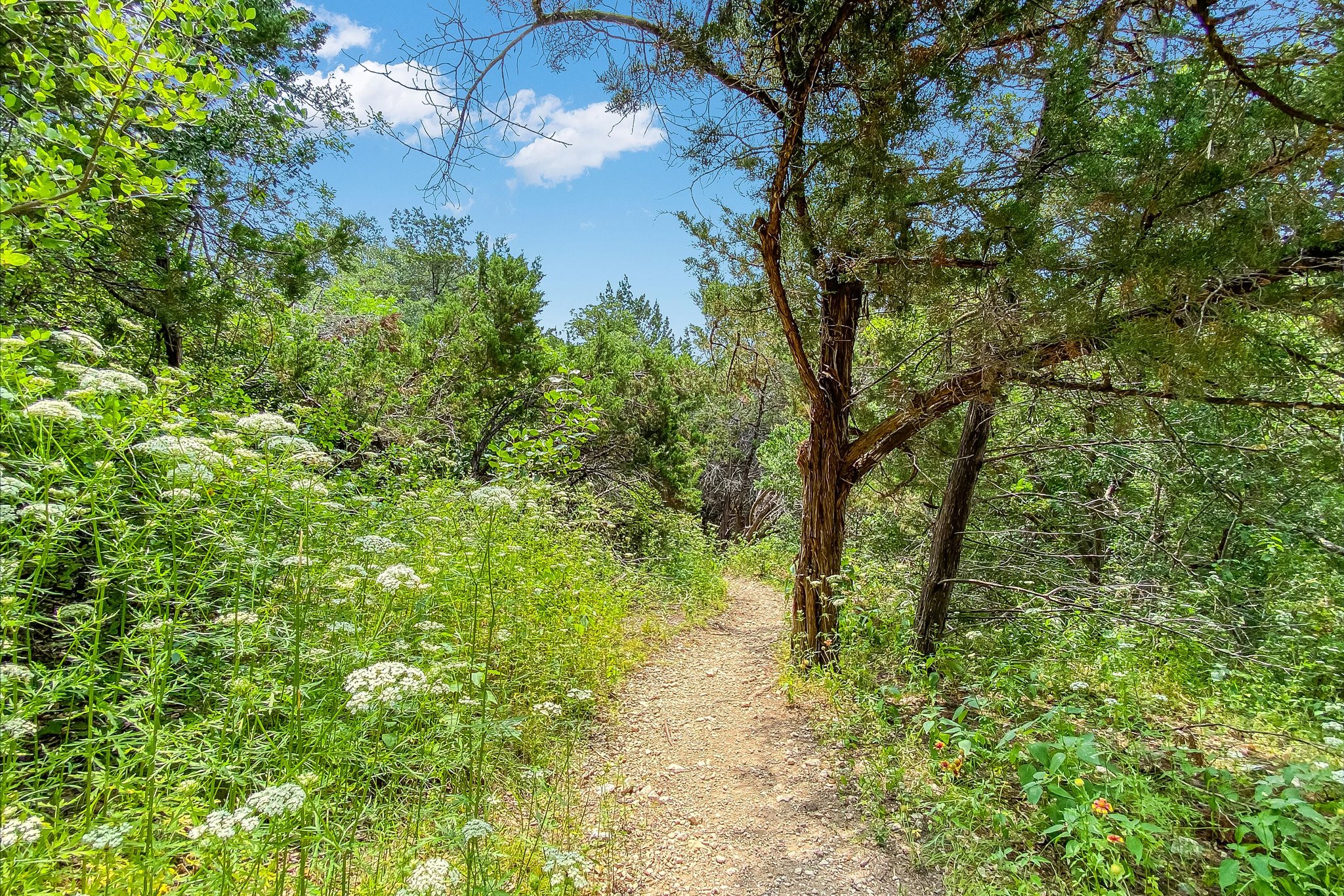 8602 Silver Ridge Drive Austin, TX 78759 - Photo 35 of 40 The Steck Valley Trail and Greenbelt are also nearby, located at the west end of Hyridge.
