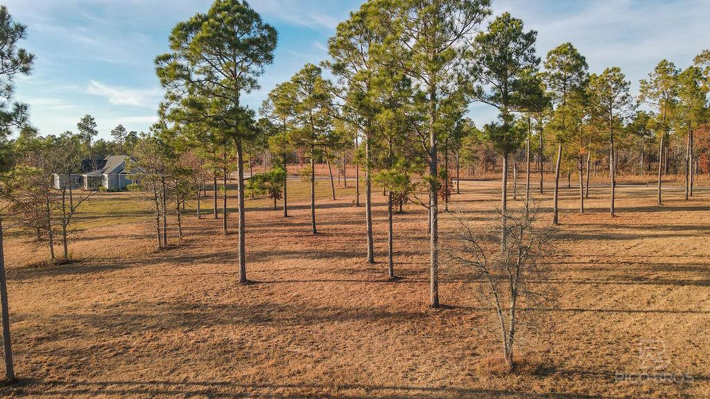 Lot 28 Rembert Place Aiken, SC 29803 - Photo 6 of 18