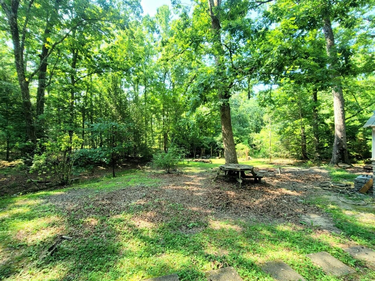 840 Eagle Furnace Road Rockwood, TN 37854 - Photo 29 of 32 a view of a park with a bench