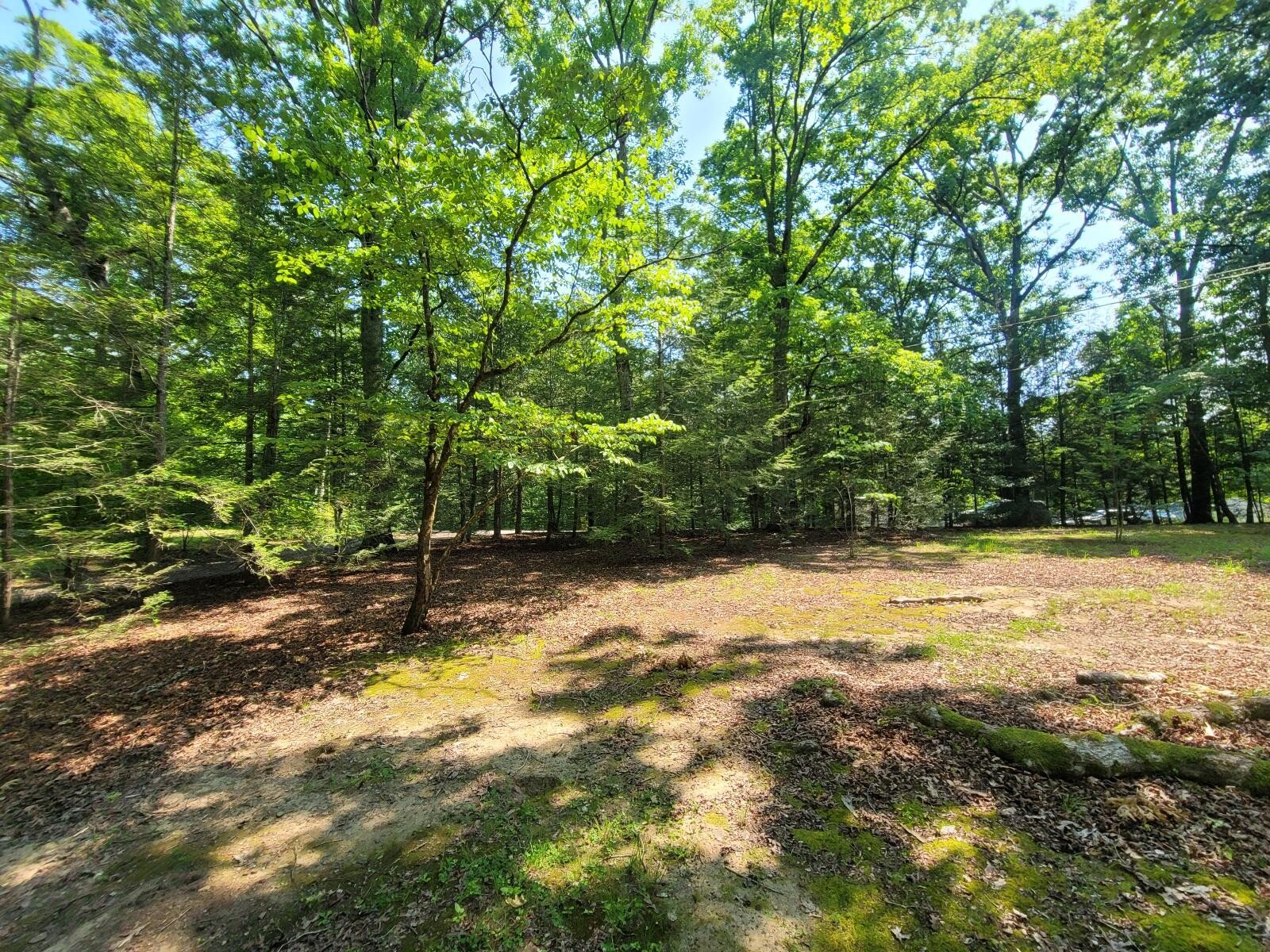 840 Eagle Furnace Road Rockwood, TN 37854 - Photo 30 of 32 a view of a yard with swimming pool
