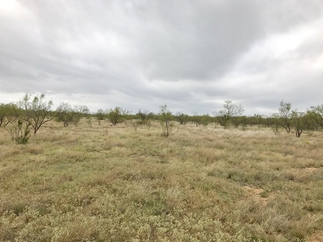 0 South Jameson Road San Angelo, TX 76901 - Photo 9 of 12 Photo 9