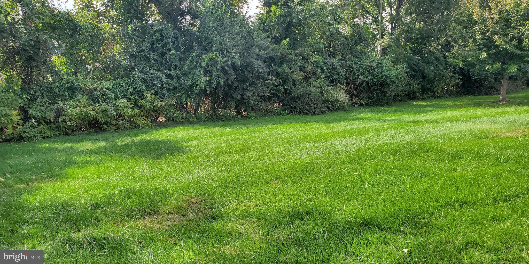 7067 Catalpa Road Frederick, MD 21703 - Photo 2 of 62 Back yard backs to tree line