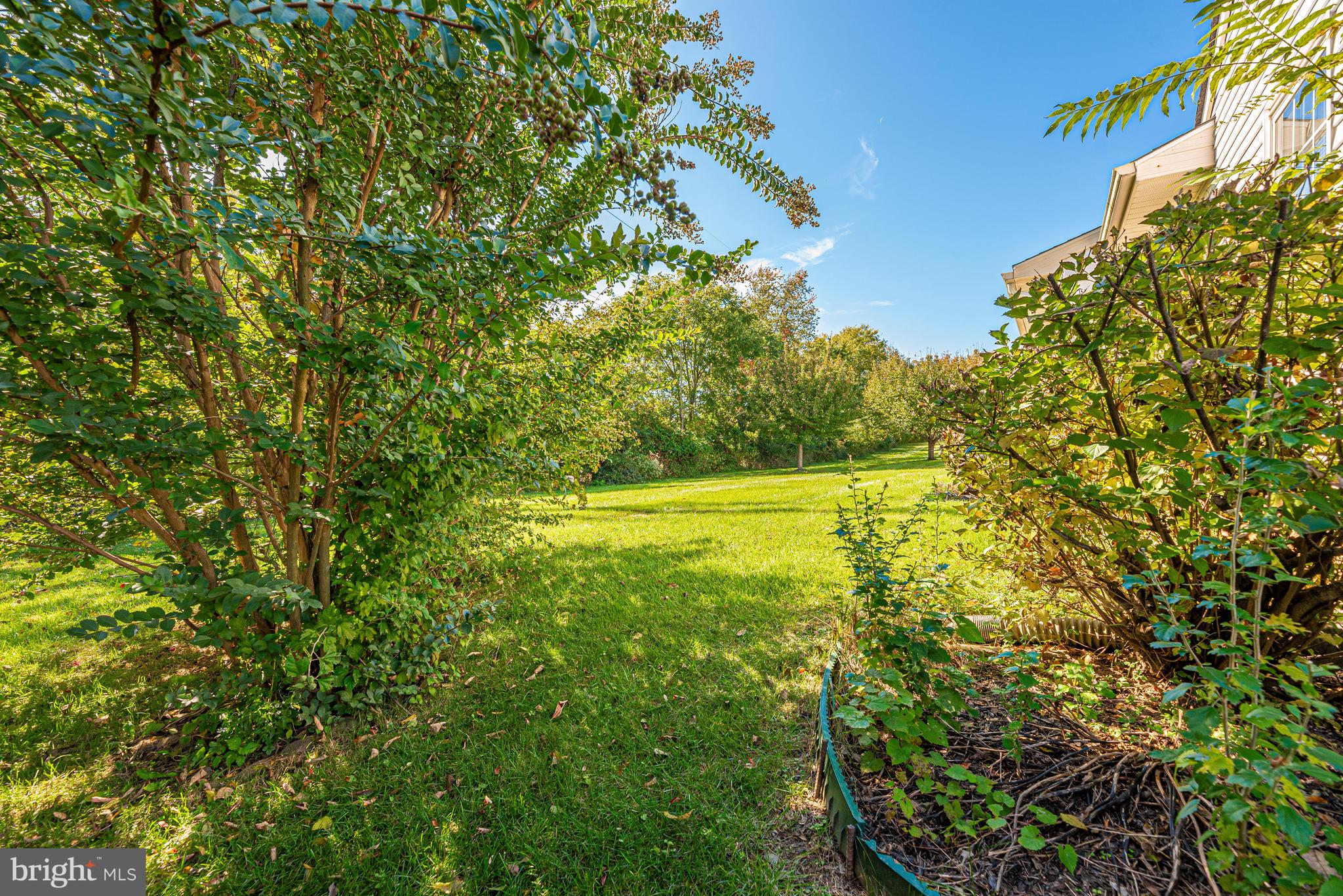 7067 Catalpa Road Frederick, MD 21703 - Photo 55 of 62 Exterior Back