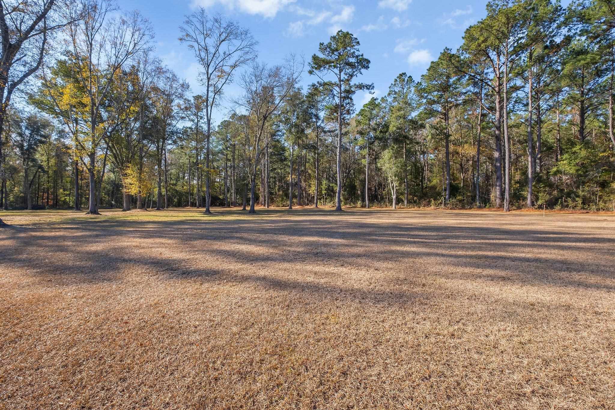 275 Edwards Road Quincy, FL 32351 - Photo 5 of 25 Gallery Image 5