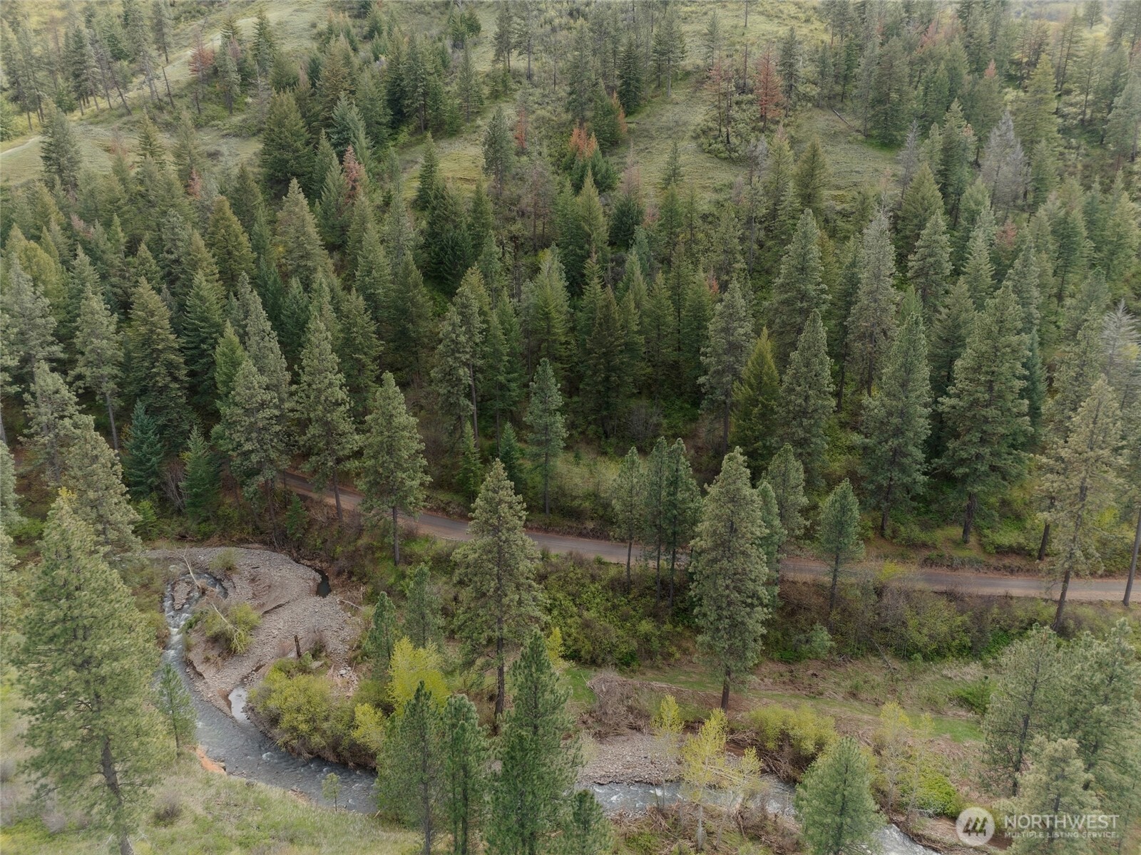 0 South Patit Road Dayton, WA 99328 - Photo 14 of 14 a view of a forest with a street