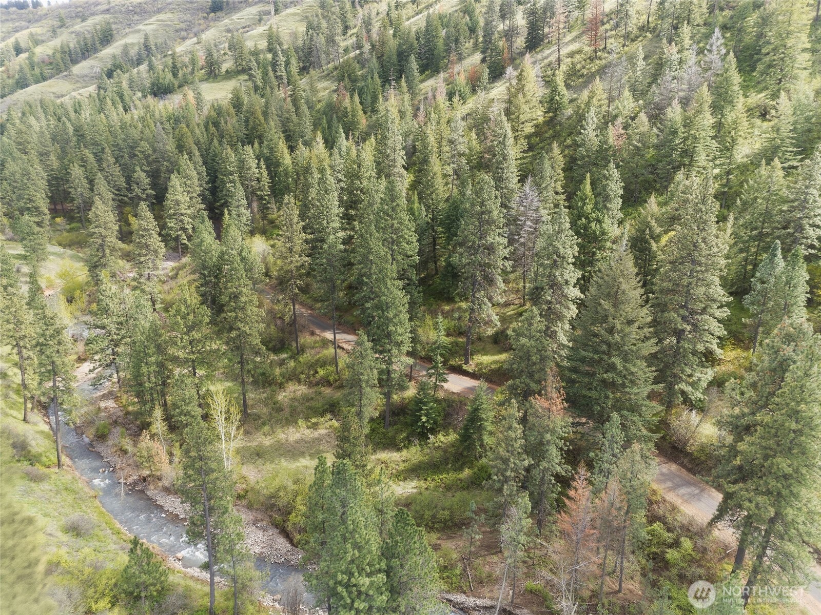 0 South Patit Road Dayton, WA 99328 - Photo 3 of 14 a close view of forest
