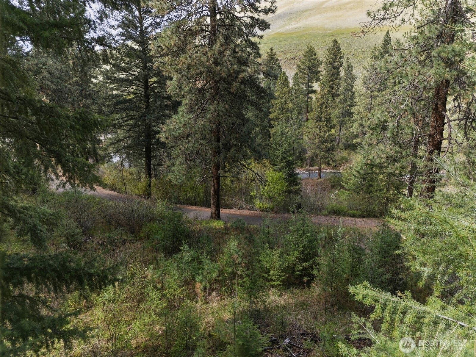 0 South Patit Road Dayton, WA 99328 - Photo 5 of 14 a view of a forest with a trees