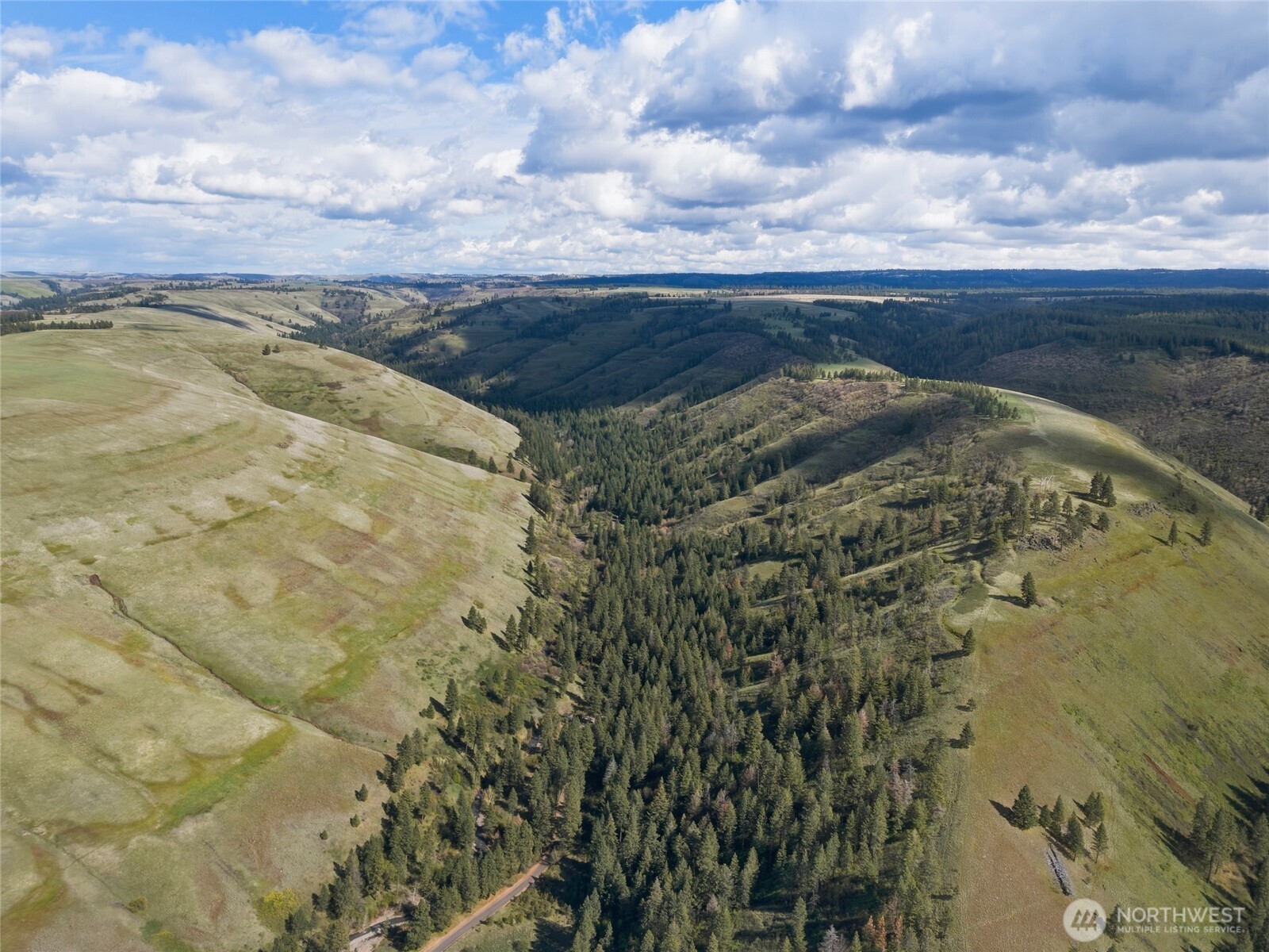0 South Patit Road Dayton, WA 99328 - Photo 8 of 14