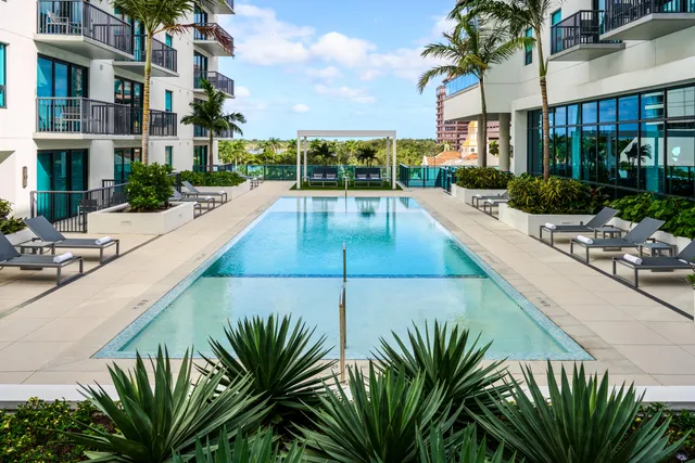 a view of a backyard with plants and swimming pool