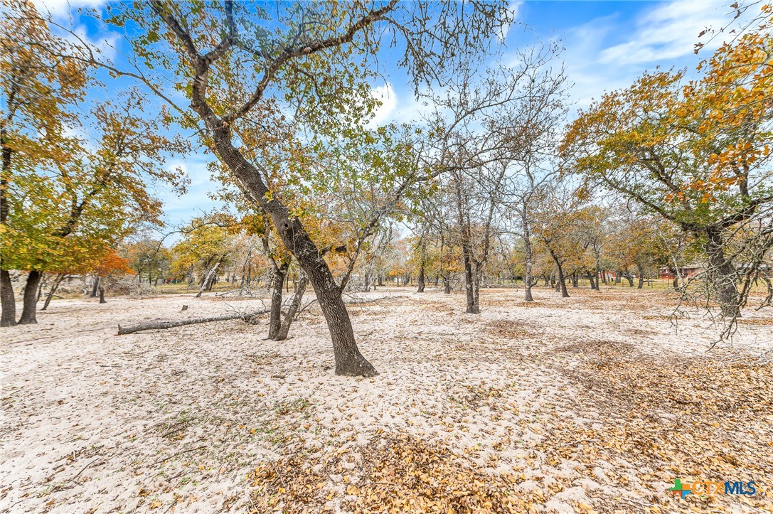 690 Cherry Ridge Floresville, TX 78114 - Photo 22 of 27