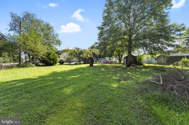 a view of a tree in front of a house with a big yard