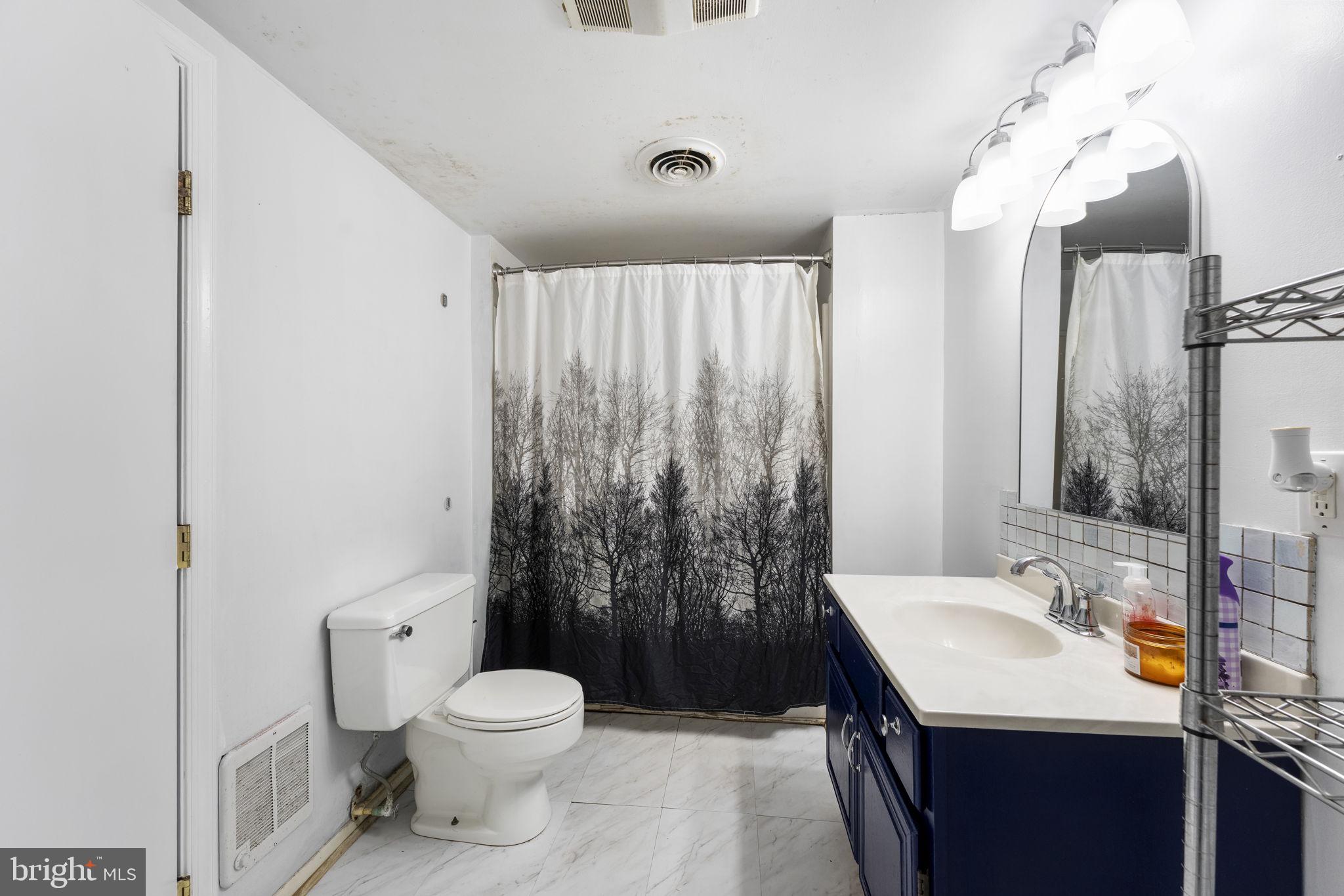 5087 Wheatleys Pond Road Smyrna, DE 19977 - Photo 10 of 36 a bathroom with a sink toilet and shower