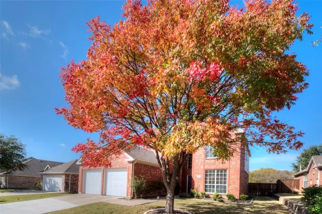 a tree lined with flowers and trees
