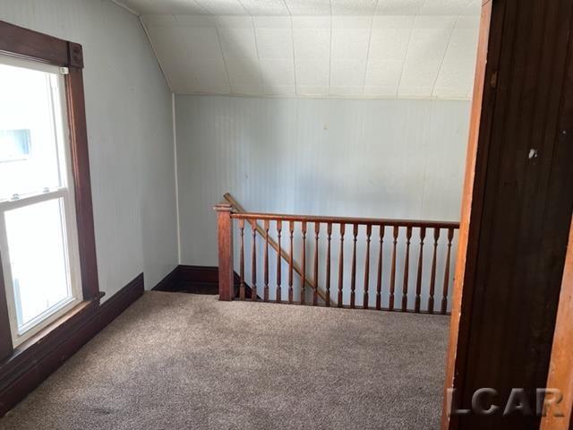 655 South Winter Street Adrian, MI 49221 - Photo 10 of 10
