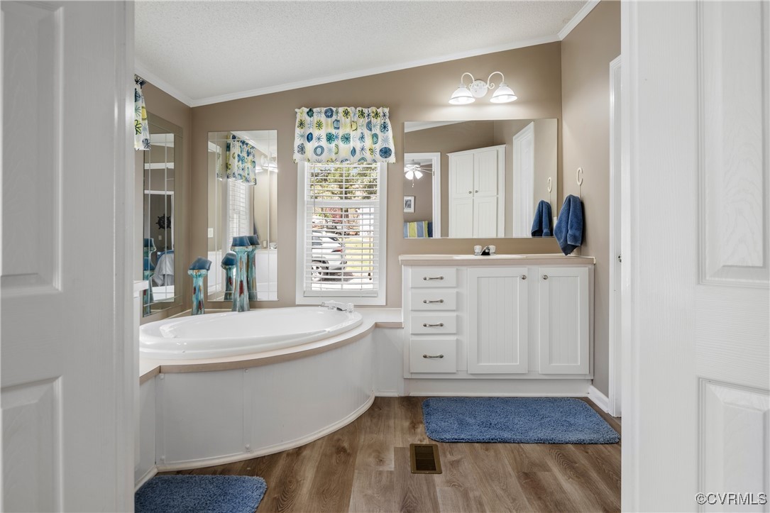 374 James River Overview Spring Grove, VA 23881 - Photo 33 of 49 a bathroom with a sink a mirror and a bathtub
