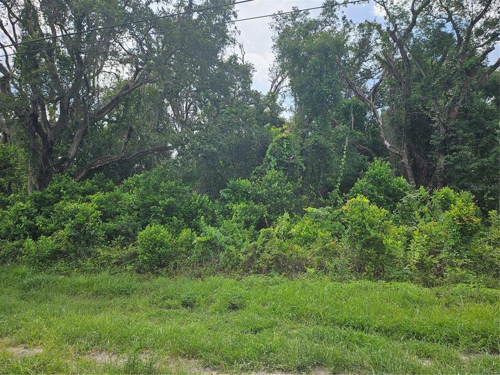 41 Us Hwy Spring Hill Spring Hill, FL 34610 - Photo 2 of 6
