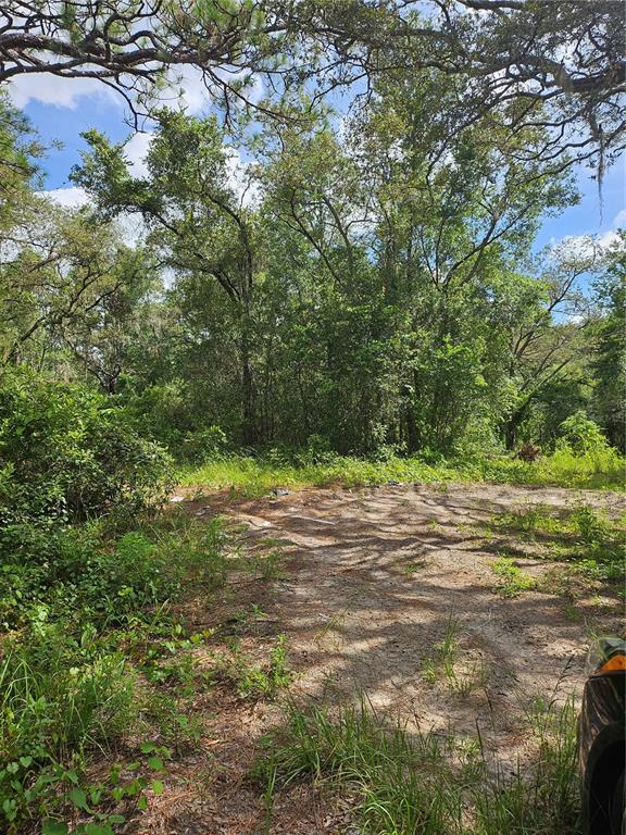 41 Us Hwy Spring Hill Spring Hill, FL 34610 - Photo 3 of 6