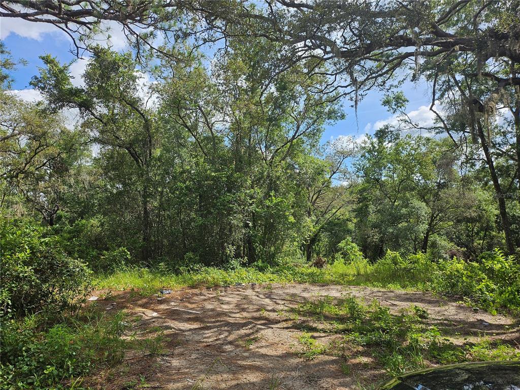 41 Us Hwy Spring Hill Spring Hill, FL 34610 - Photo 4 of 6