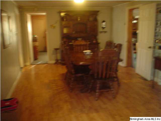 4625 Highway 24 Springville Al Springville, AL 35146 - Photo 7 of 29