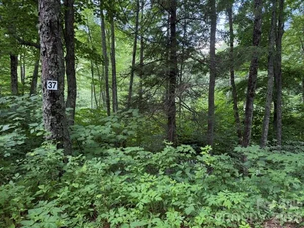 $65,000 | Lot 37 Odalu Trail, Unit 37, Maggie Valley, NC 28751