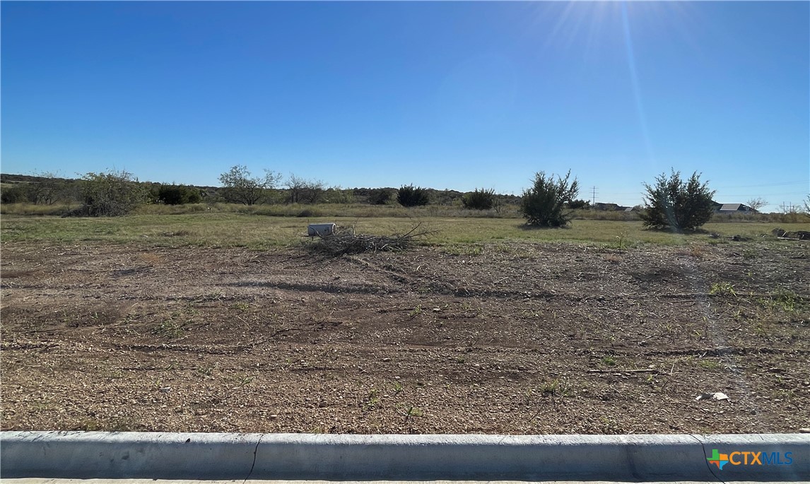 a view of a yard with an outdoor space