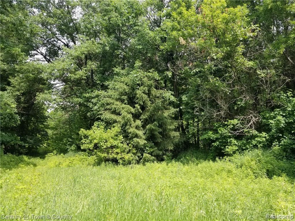 Vacant) Baldwin Road Clarkston, MI 48348 - Photo 2 of 6