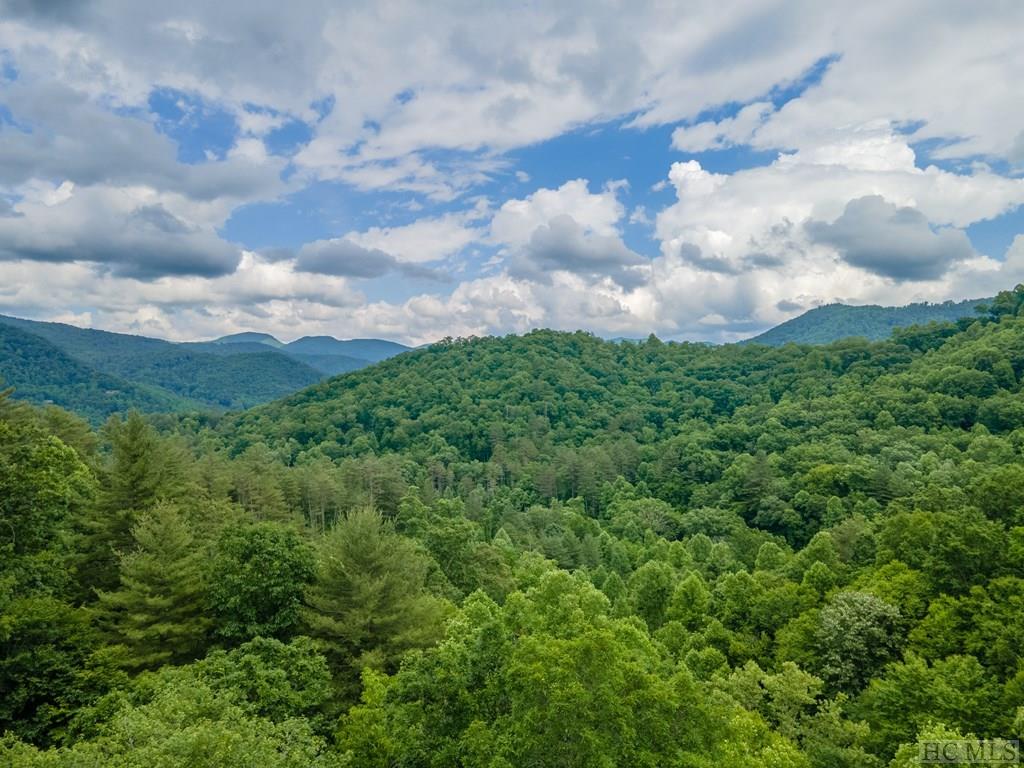 703 Bryson Branch Road Franklin, NC 28734 - Photo 69 of 74 Gallery Image 69
