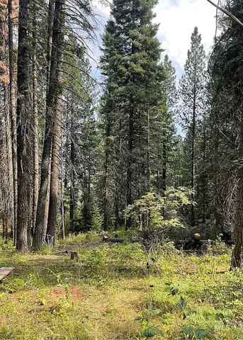 $275,000 | 66 Hillside Trail, Cascade, ID 83611