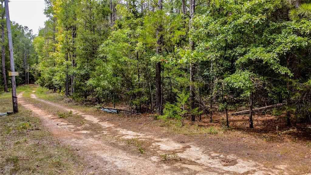 0 Ware Road Iva, SC 29655 - Photo 4 of 7