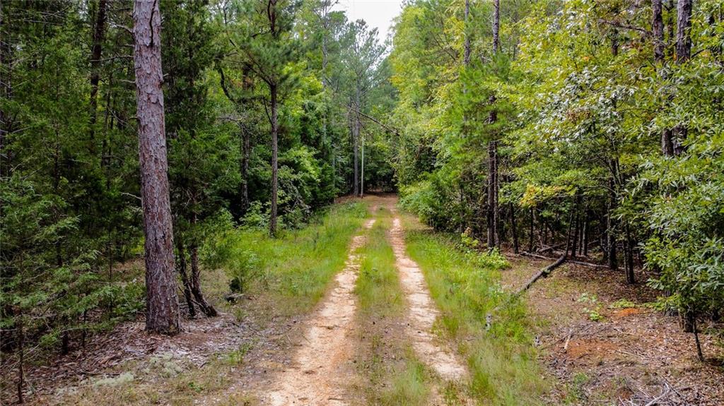 0 Ware Road Iva, SC 29655 - Photo 5 of 7