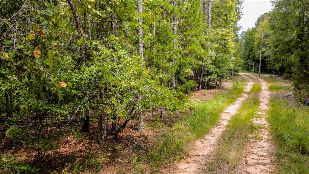 0 Ware Road Iva, SC 29655 - Photo 6 of 7