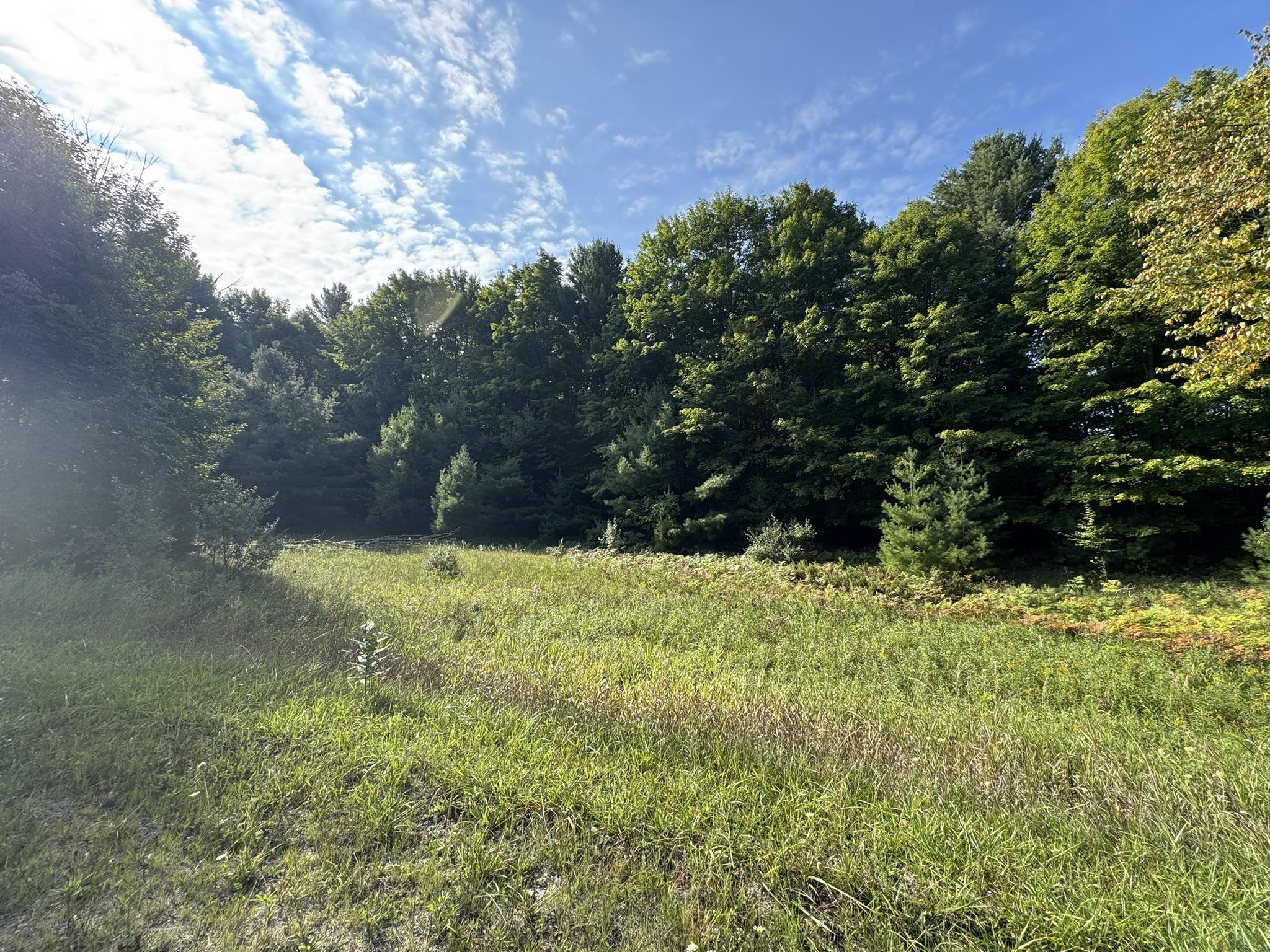 Lot 5 East Old Mountain Road, Unit LOT: 5 Cedar, MI 49621 - Photo 6 of 10