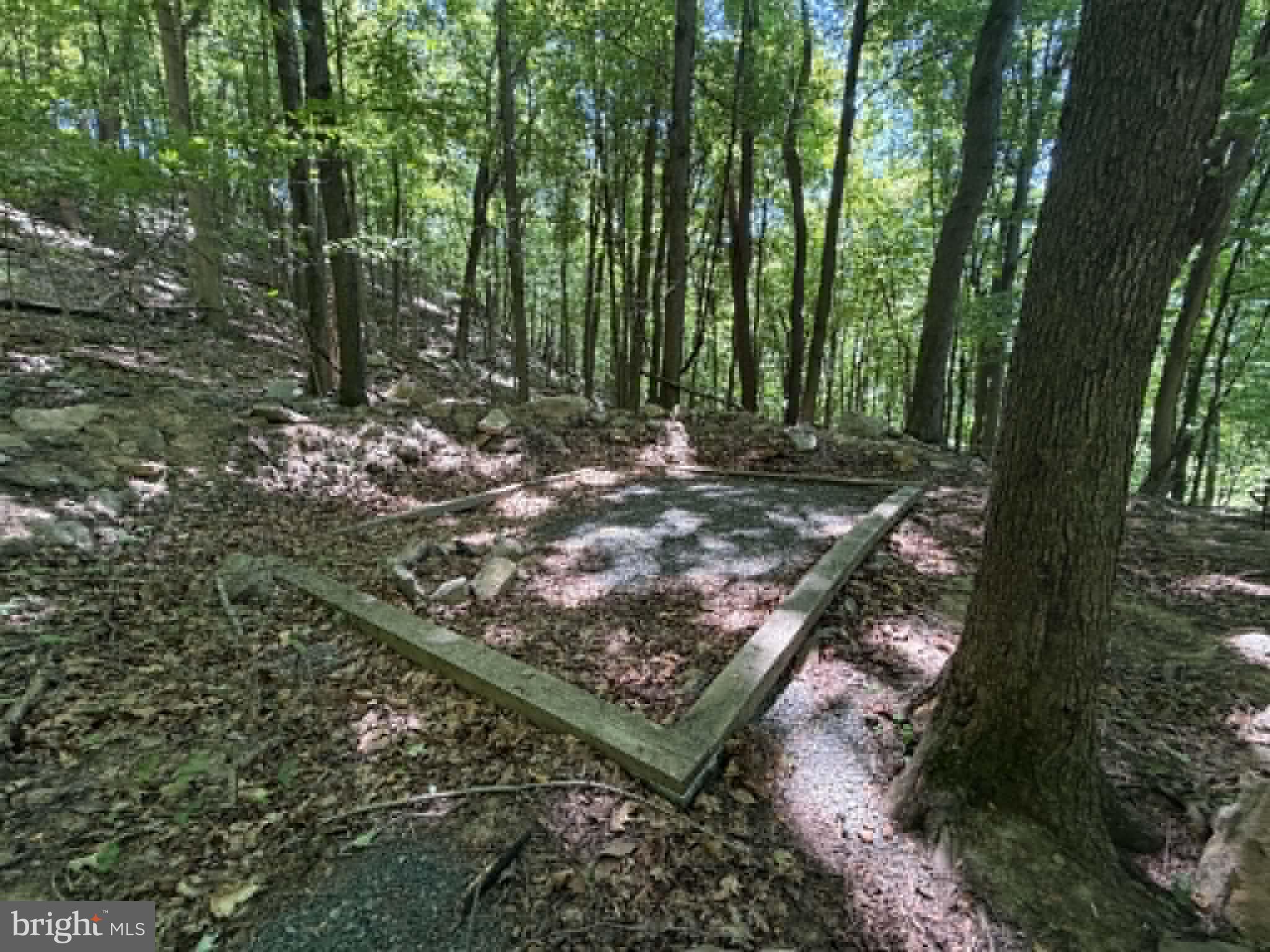 1515 Barnum Road Keyser, WV 26726 - Photo 22 of 64