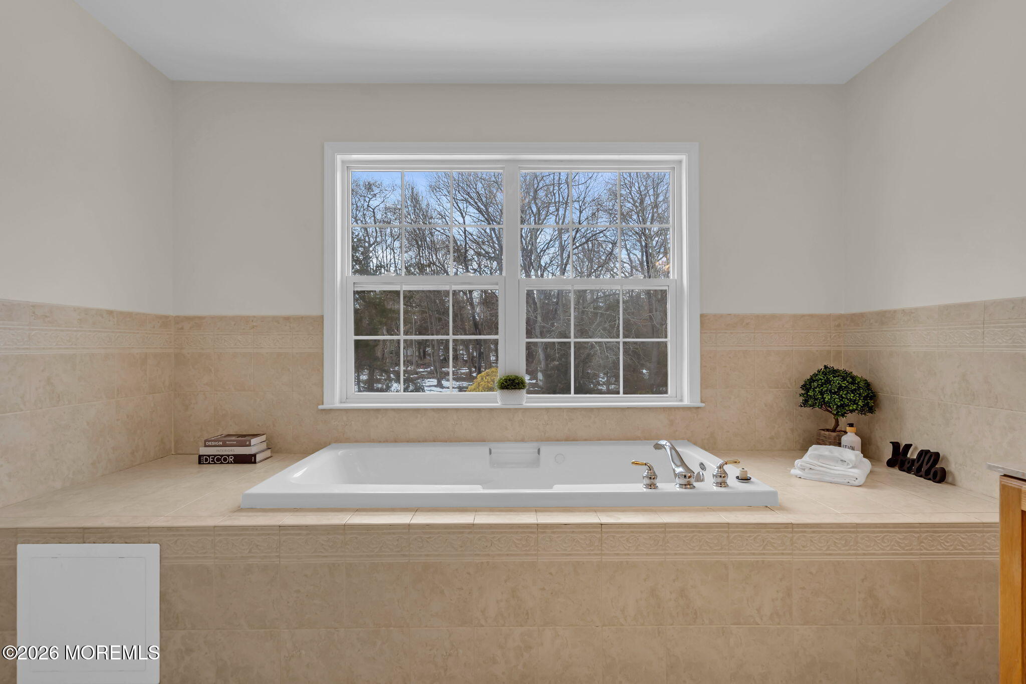 296 White Road Jackson, NJ 08527 - Photo 47 of 64 59-web-or-mls-DSC08668
