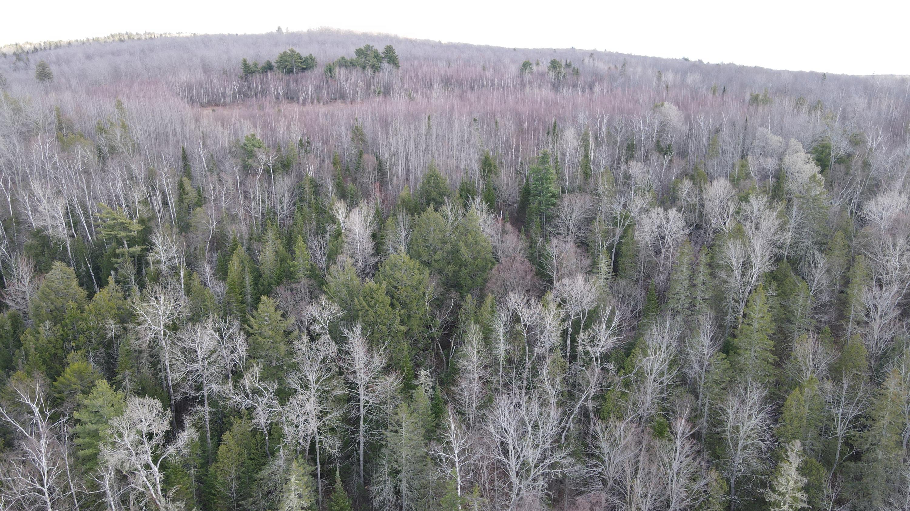133 Rider Bluff Road Holden, ME 04429 - Photo 8 of 24 DJI_0262